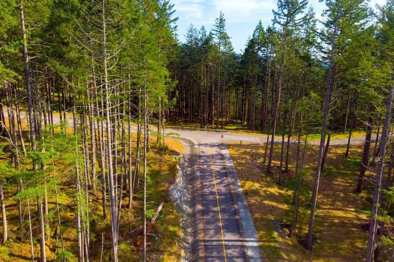 Arbutus Ridge forested lots