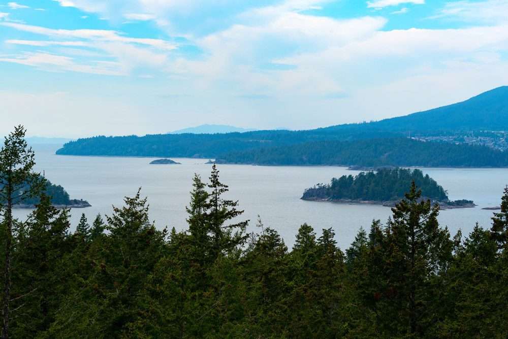Arbutus Ridge natural setting