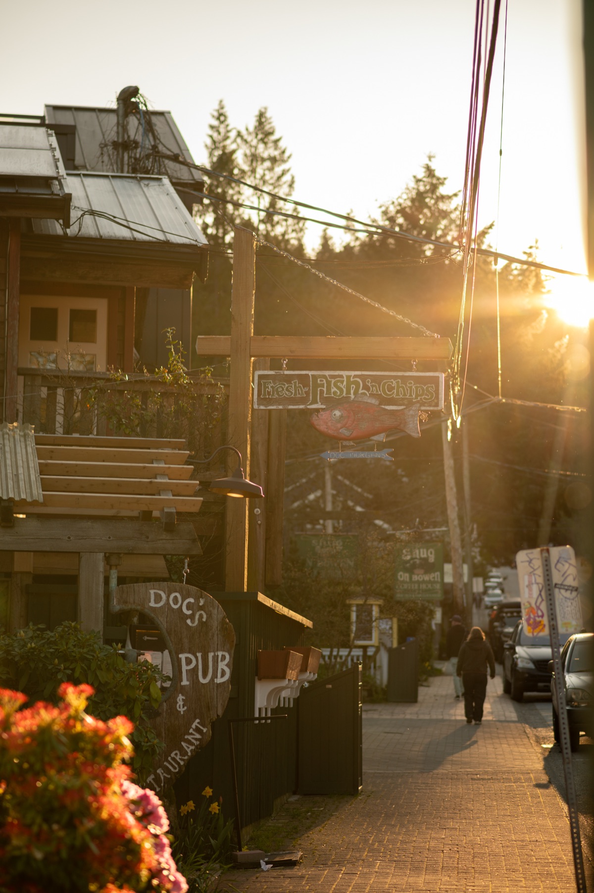Village street at golden hour
