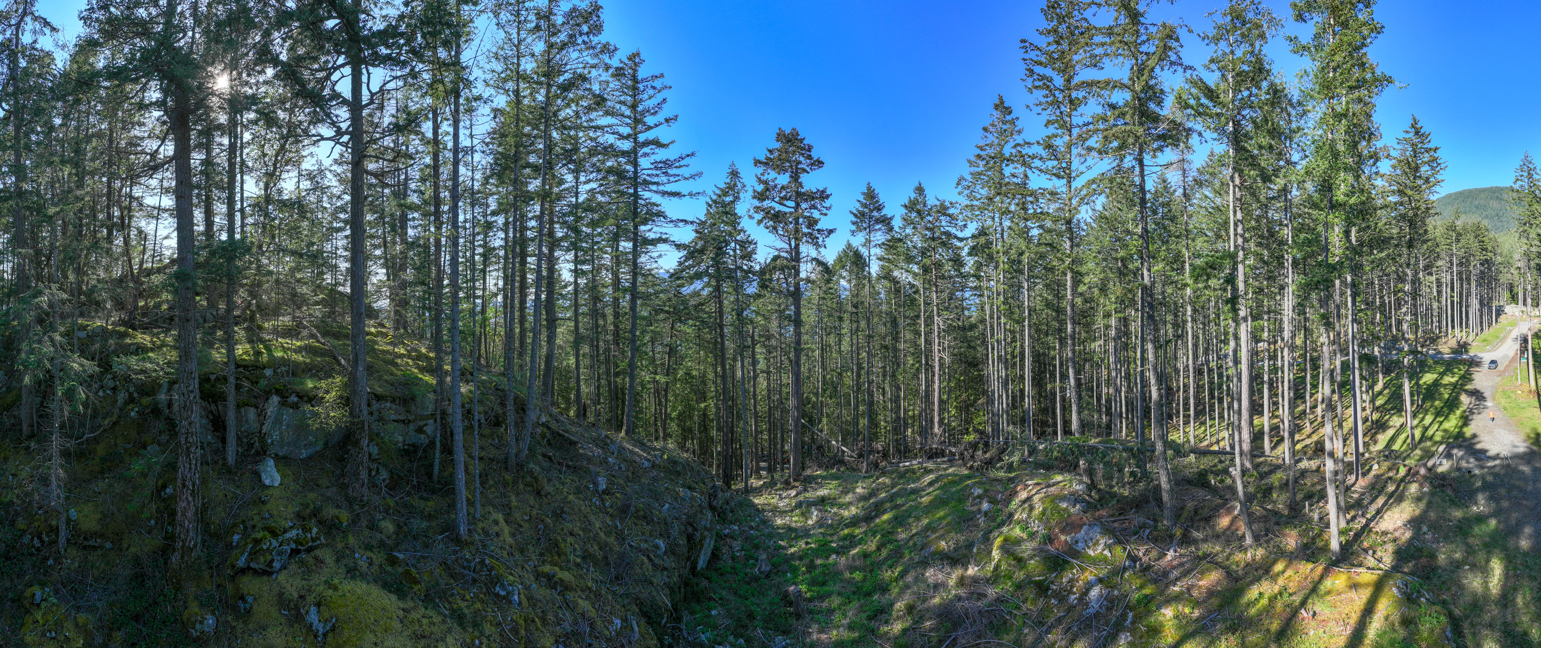 Lot 5, 774 Hayes Road, Arbutus Ridge