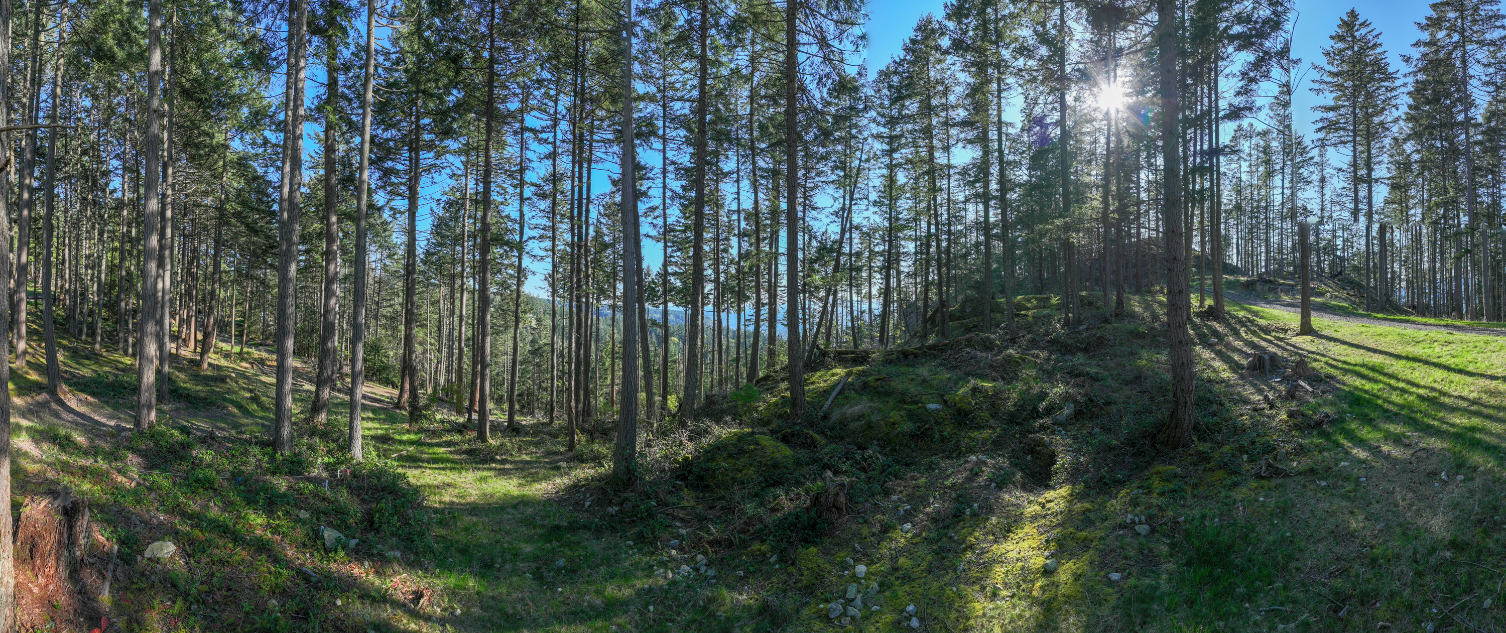 Lot 6, 770 Hayes Road, Arbutus Ridge