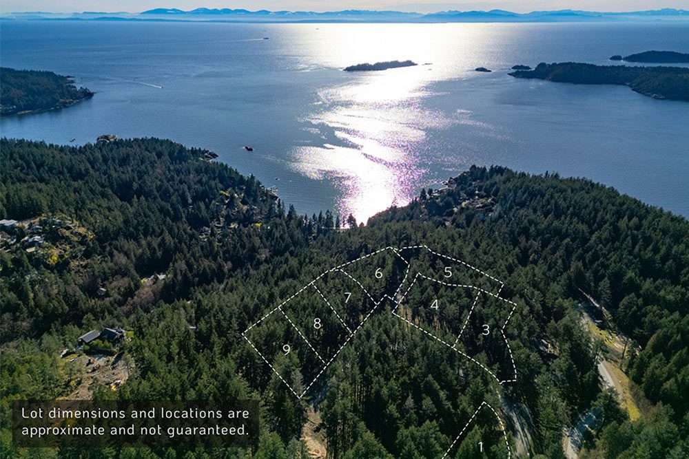 Aerial overview of all Arbutus Ridge lots