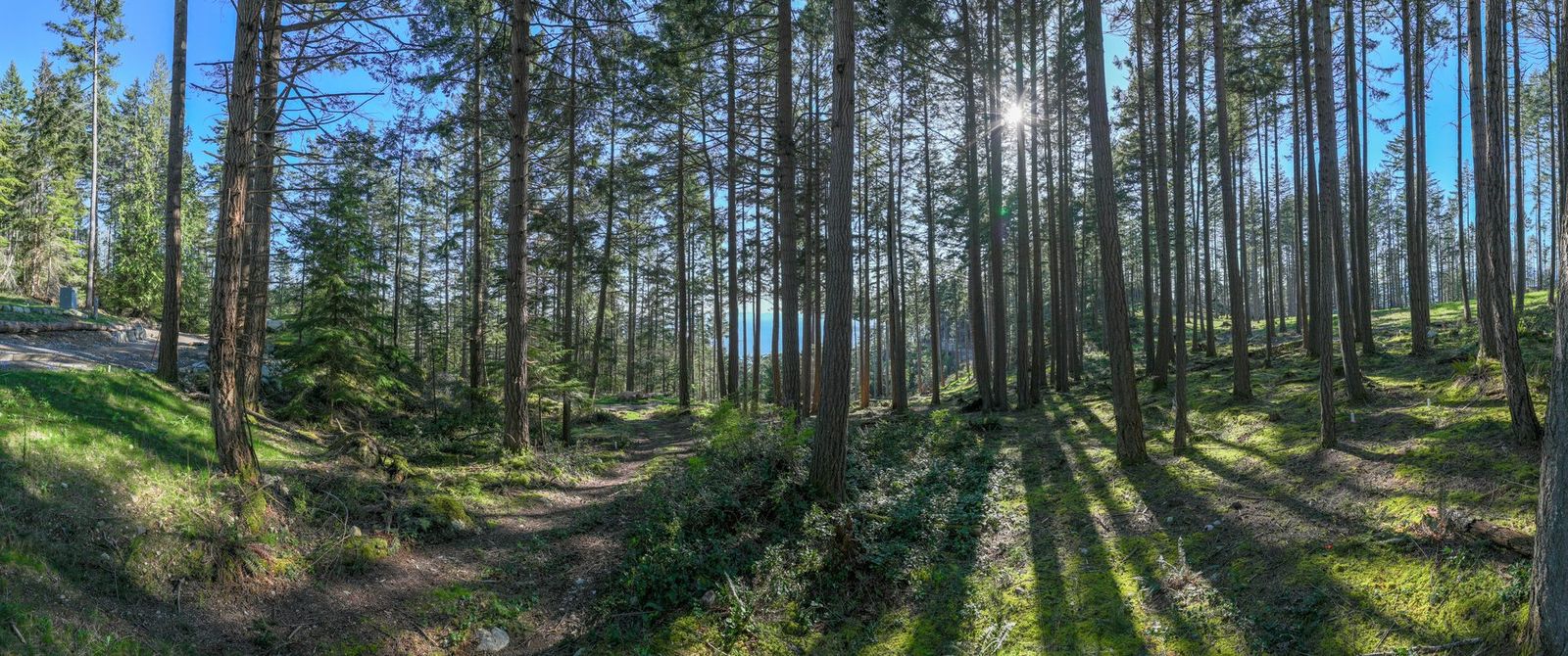 180-degree view from Lot 9 at Arbutus Ridge, Bowen Island, with the gravel road along the edge of the frame